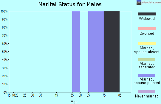 Zip code 26289 marital status for males