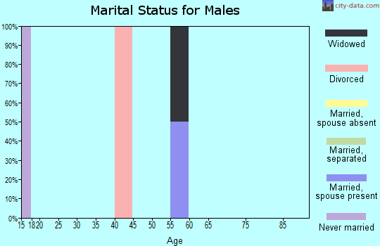 Zip code 26291 marital status for males