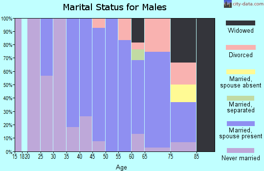 Zip code 26292 marital status for males