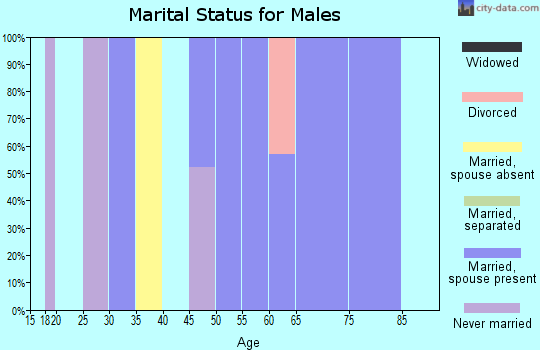 Zip code 26293 marital status for males