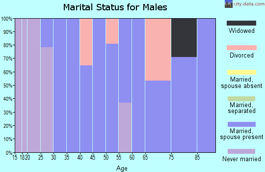 Zip code 26294 marital status for males