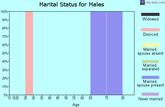 Zip code 26298 marital status for males