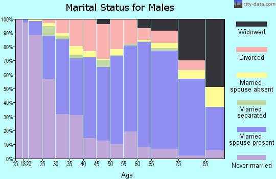 Zip code 26301 marital status for males