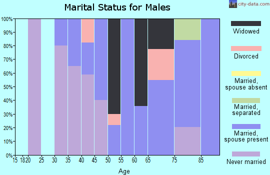 Zip code 26320 marital status for males