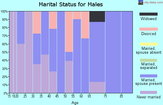 Zip code 26323 marital status for males