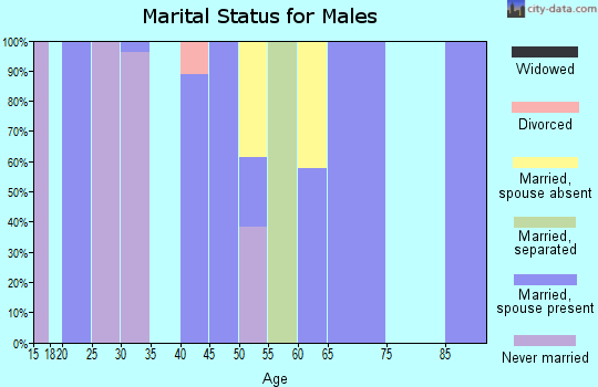 Zip code 26325 marital status for males