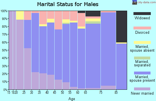 Zip code 26330 marital status for males