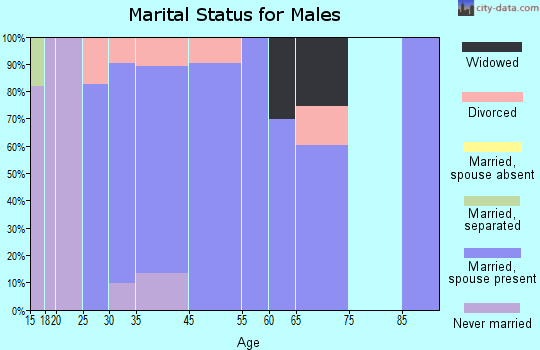 Zip code 26332 marital status for males