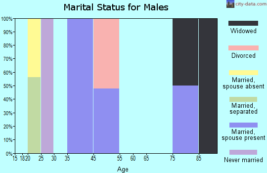 Zip code 26334 marital status for males