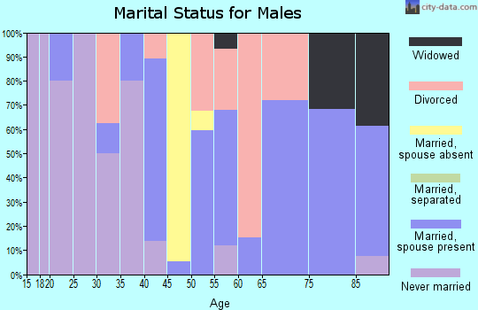 Zip code 26335 marital status for males