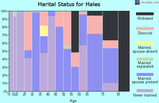 Zip code 26337 marital status for males