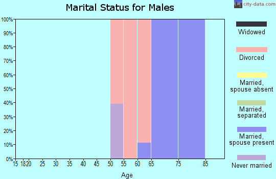 Zip code 26339 marital status for males