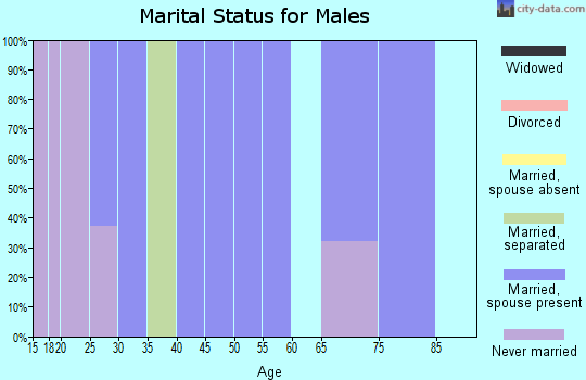 Zip code 26342 marital status for males