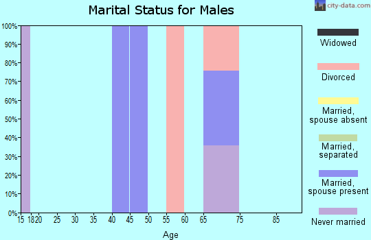 Zip code 26343 marital status for males
