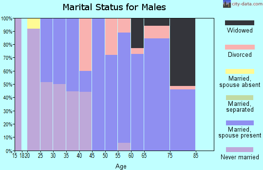 Zip code 26346 marital status for males