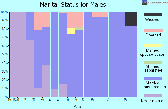Zip code 26347 marital status for males