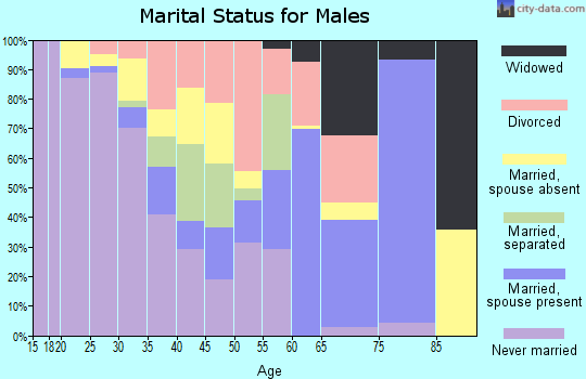 Zip code 26351 marital status for males