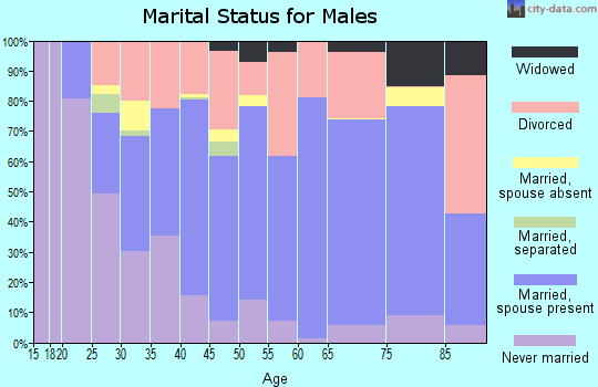 Zip code 26354 marital status for males