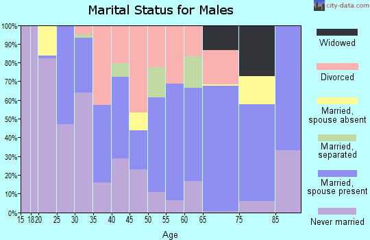 Zip code 26362 marital status for males