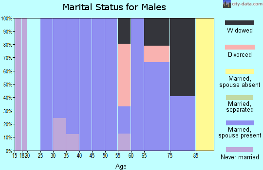 Zip code 26374 marital status for males
