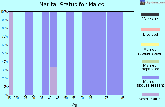 Zip code 26376 marital status for males