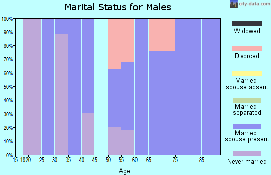 Zip code 26377 marital status for males