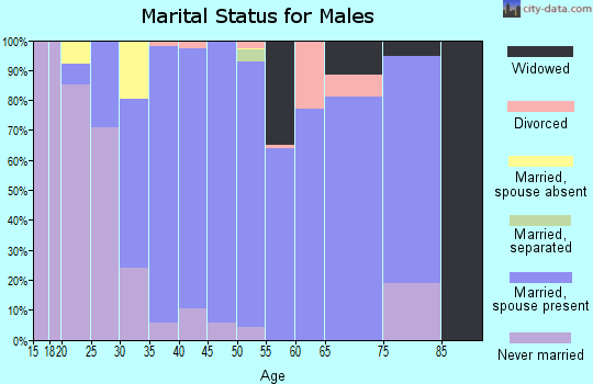 Zip code 26378 marital status for males