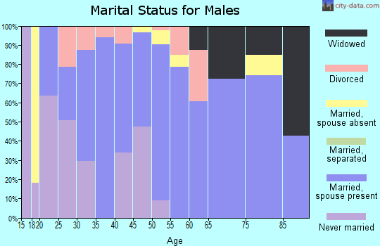 Zip code 26385 marital status for males