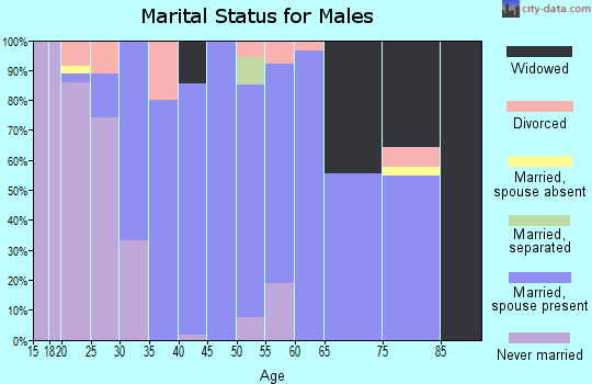 Zip code 26386 marital status for males