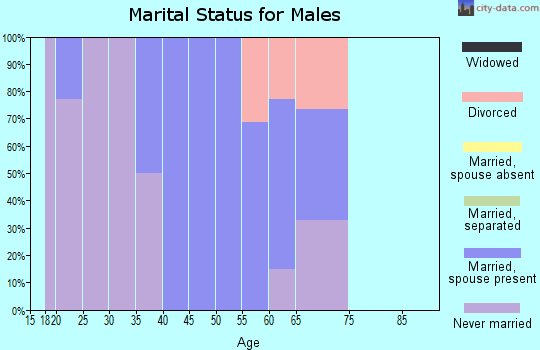 Zip code 26405 marital status for males