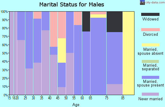 Zip code 26410 marital status for males
