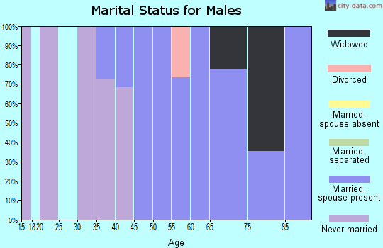 Zip code 26411 marital status for males