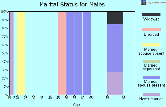 Zip code 26412 marital status for males