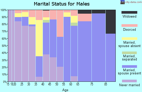 Zip code 26415 marital status for males