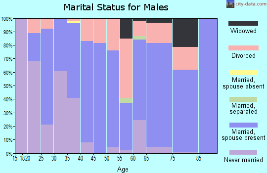 Zip code 26416 marital status for males