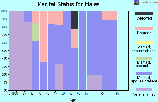 Zip code 26419 marital status for males