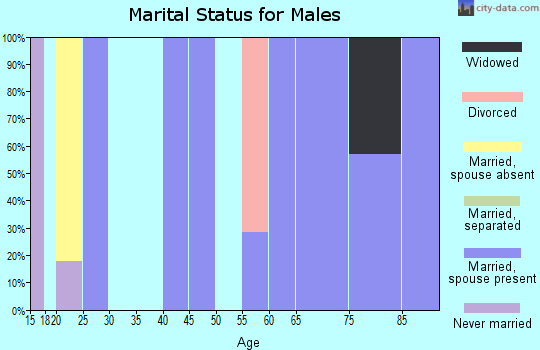 Zip code 26421 marital status for males