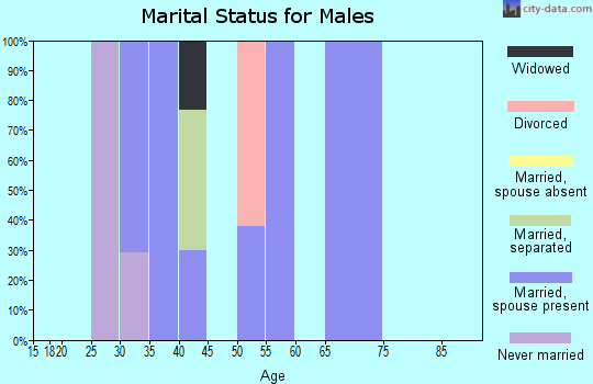 Zip code 26422 marital status for males