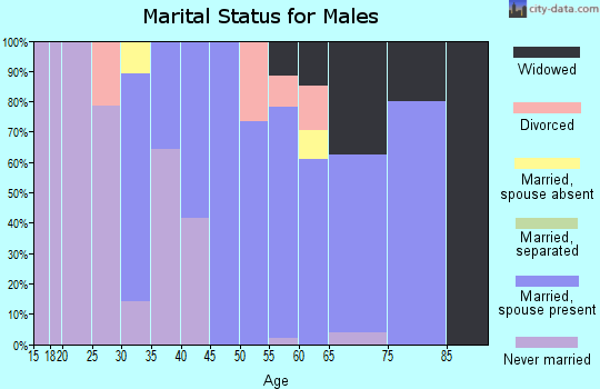 Zip code 26425 marital status for males
