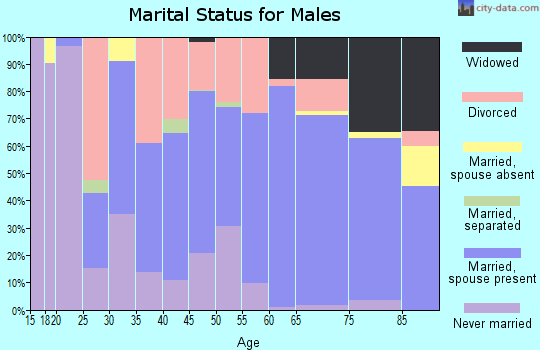 Zip code 26426 marital status for males
