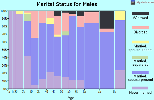 Zip code 26431 marital status for males