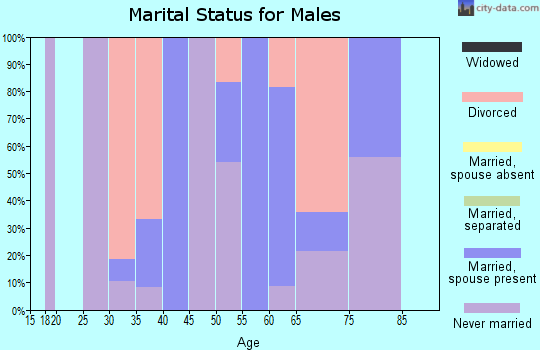Zip code 26437 marital status for males