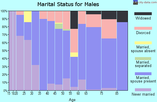 Zip code 26444 marital status for males