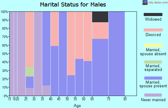 Zip code 26448 marital status for males