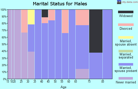 Zip code 26451 marital status for males