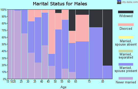 Zip code 26456 marital status for males