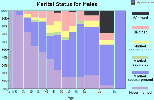 Zip code 26501 marital status for males