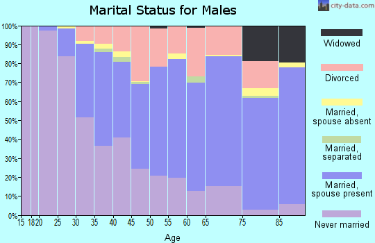 Zip code 26505 marital status for males