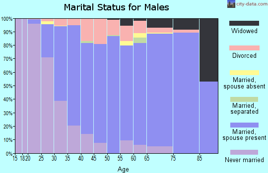 Zip code 26508 marital status for males