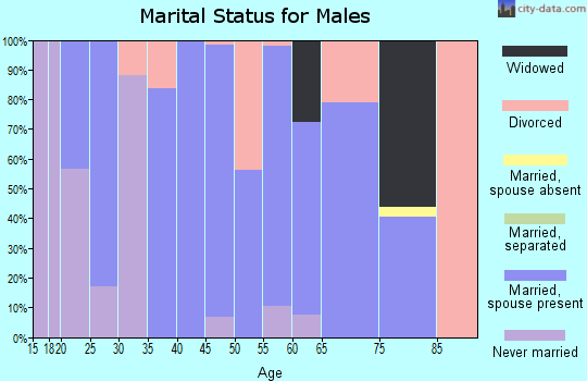 Zip code 26519 marital status for males